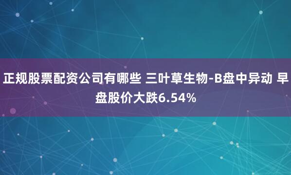 正规股票配资公司有哪些 三叶草生物-B盘中异动 早盘股价大跌6.54%