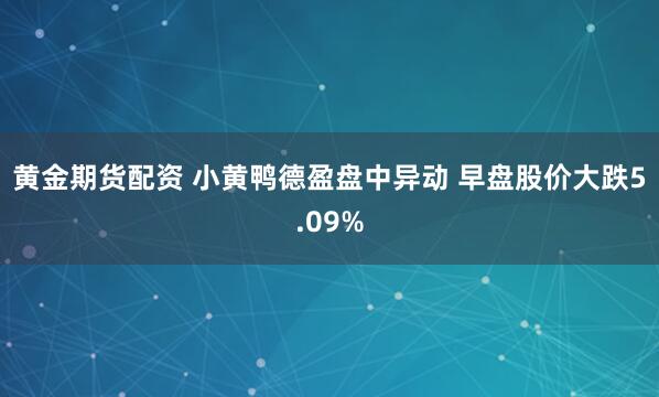 黄金期货配资 小黄鸭德盈盘中异动 早盘股价大跌5.09%